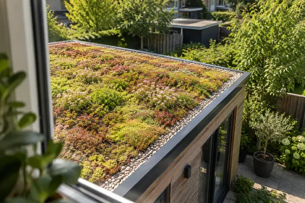 Groene sedumbeplanting op een laag uitbouwdak.